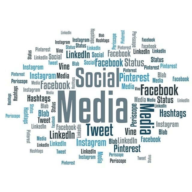 tiktok, social media, word cloud